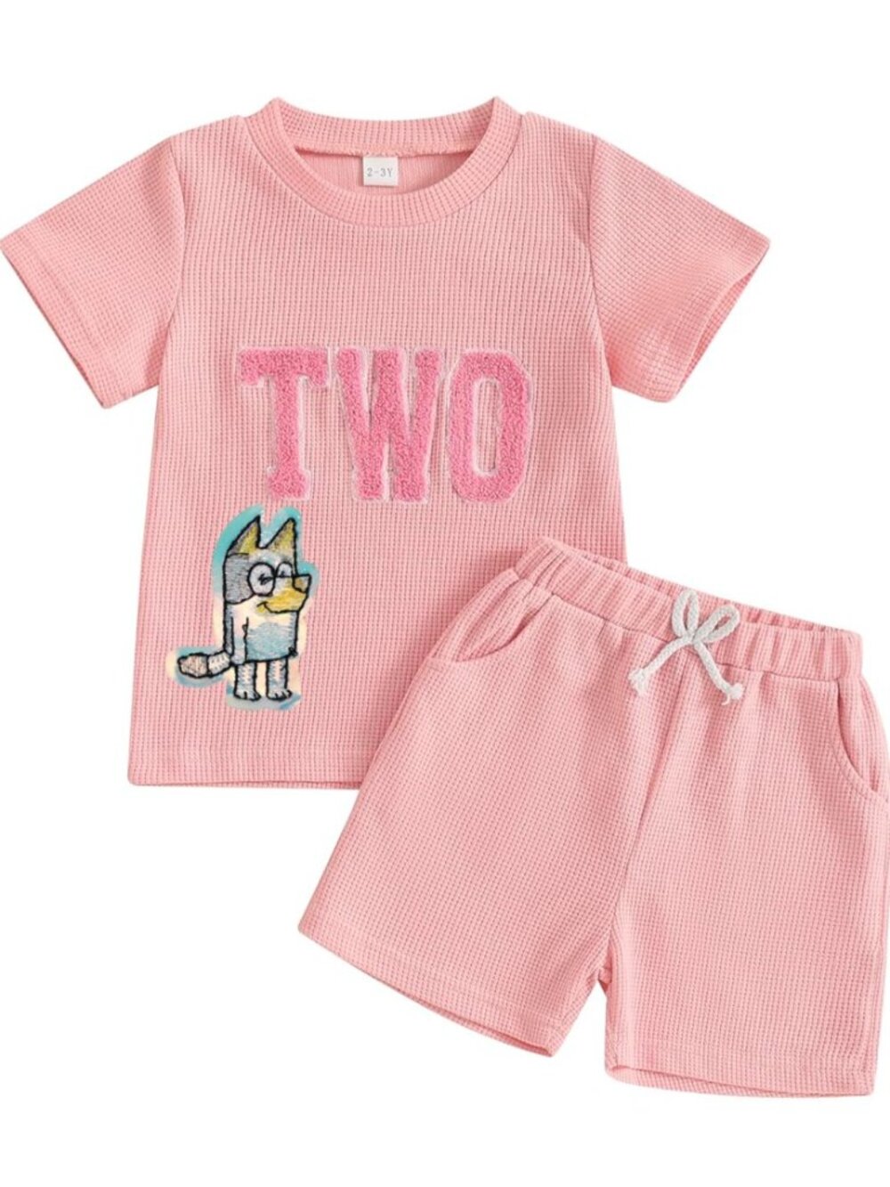Pink Girl Second Birthday Bluey Outfit Bingo Shirt Shorts Bluey Clothes